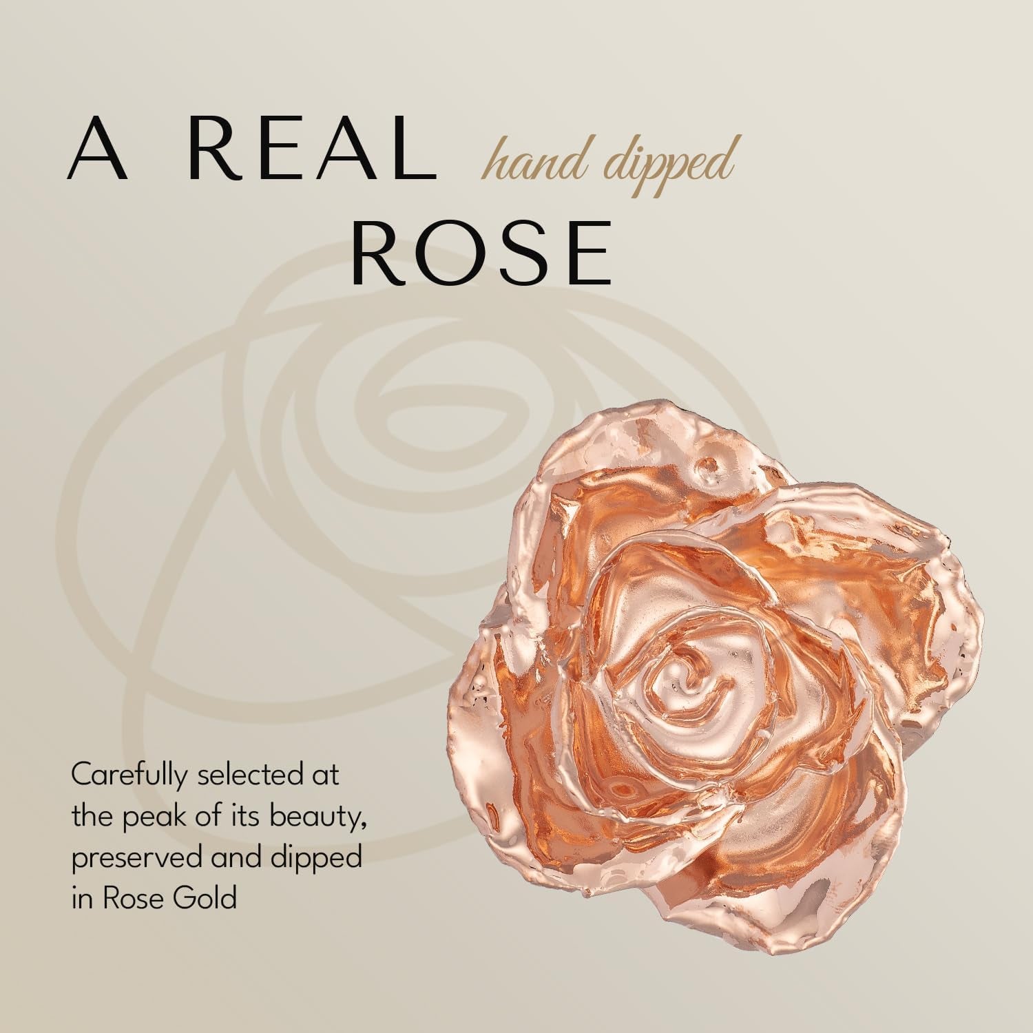 Real Rose Gold Rose, Genuine One of a Kind Rose Hand Dipped in 24K Gold Roses to Last a Lifetime