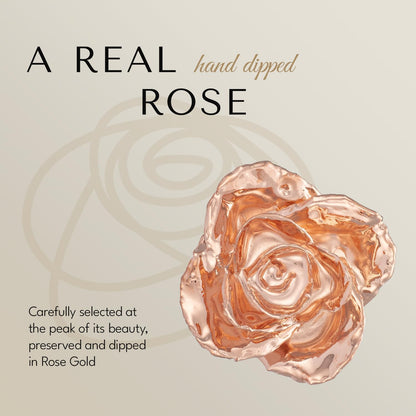 Real Rose Gold Rose, Genuine One of a Kind Rose Hand Dipped in 24K Gold Roses to Last a Lifetime