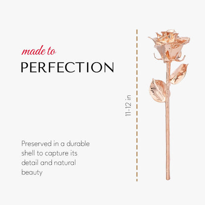 Real Rose Gold Rose, Genuine One of a Kind Rose Hand Dipped in 24K Gold Roses to Last a Lifetime